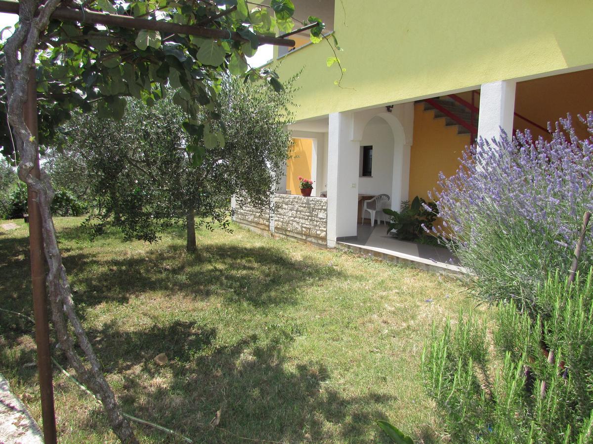 Apartments Goga Umag Dış mekan fotoğraf