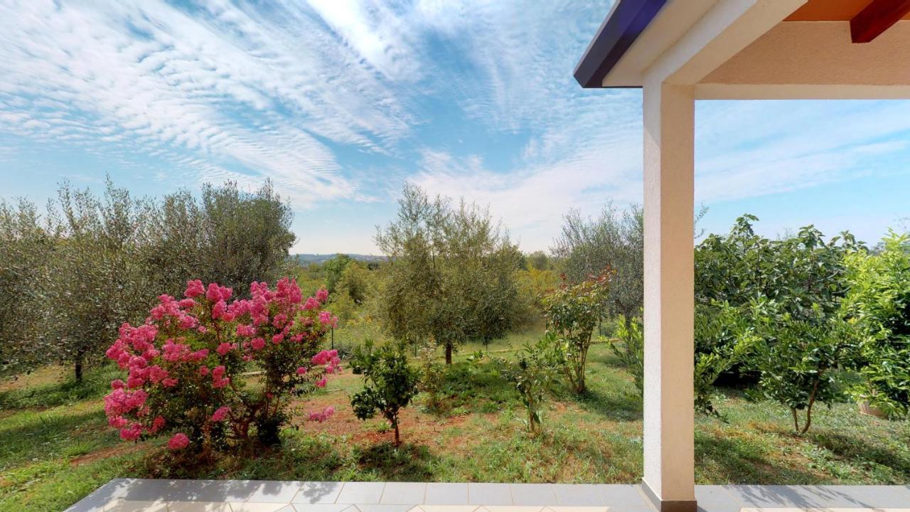 Apartments Goga Umag Dış mekan fotoğraf