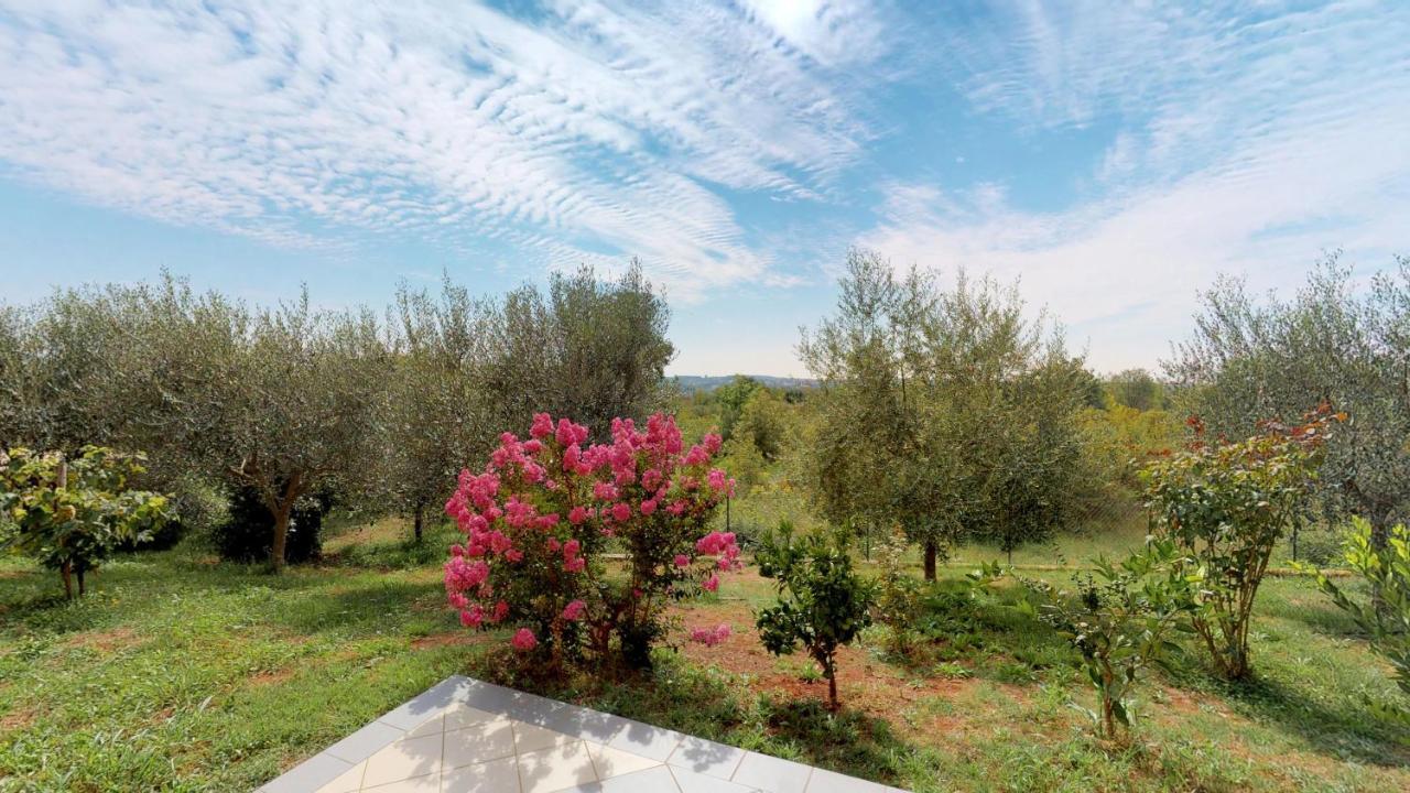 Apartments Goga Umag Dış mekan fotoğraf